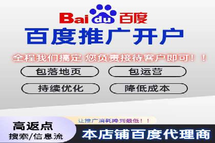 SEM推广公司案例分享：电商品牌崛起之路